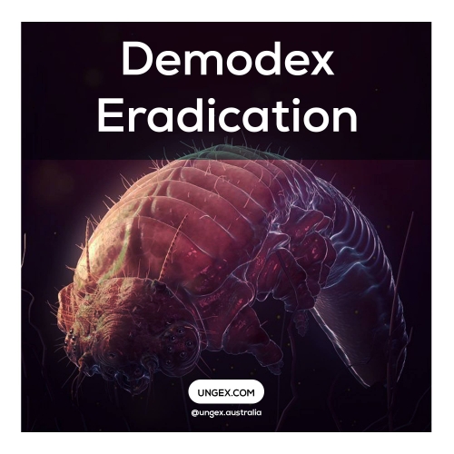 Habits That Help Demodex Eradication
