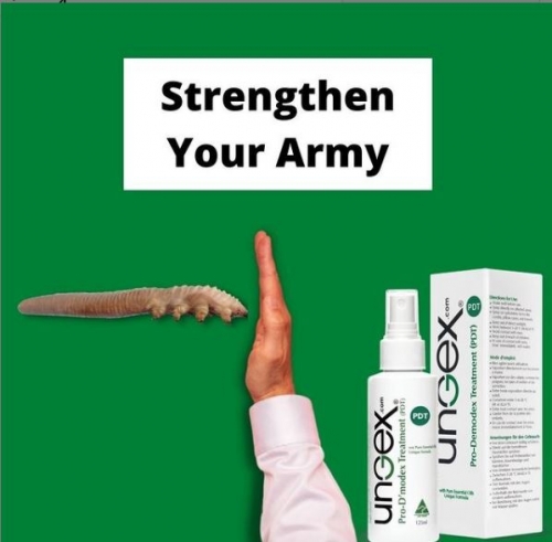 Strengthen Your Army