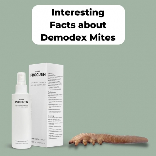 Interesting Facts about Demodex Mites