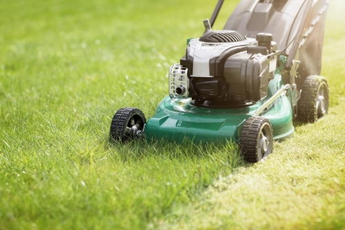 Best Lawn Mower Parts Deals Online