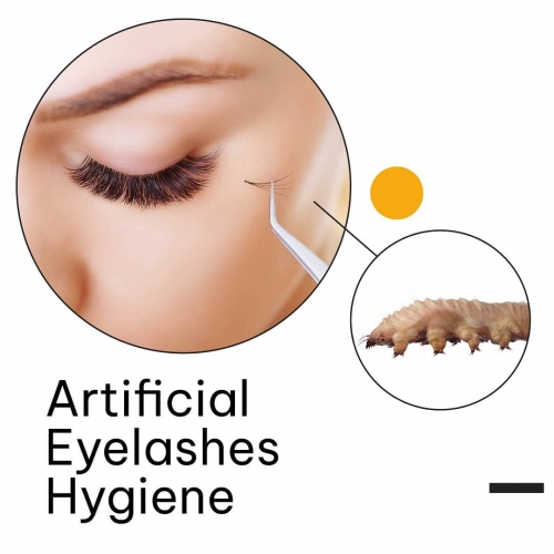 Artificial Eyelash Hygiene