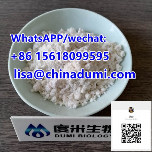 BMK CAS 5413-05-8 Chinese factories Ethyl 3-oxo-4-phenylbutanoate