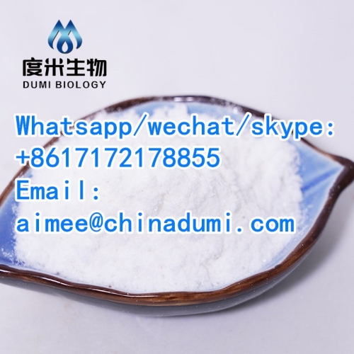 WhatsApp : +8617172178855 DUMI 125541-22-2 tert-Butyl 4-anilinopiperidine-1-carboxylate