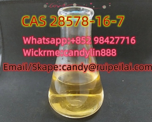 CAS 28578-16-7 PMK OIL