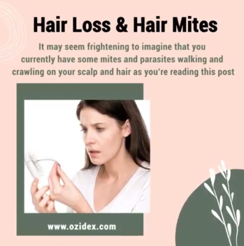Hair Loss & Hair Mites ðŸ›