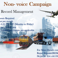 Non-voice Campaign