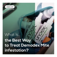 What Is the Best Way to Treat Demodex Mite Infestation? PickP