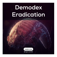 Habits That Help Demodex Eradication PickP