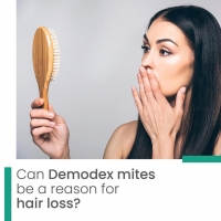 Can Demodex mites be a reason for hair loss?