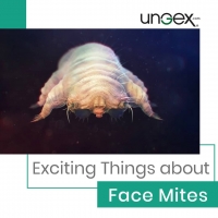 Exciting Things about Face Mites