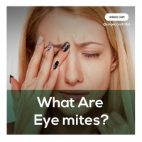 What are eye mites?