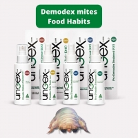 What do Demodex mites eat? ðŸ¤”ðŸ¤”
