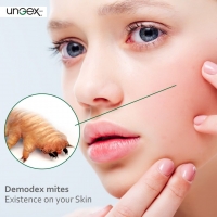 Demodex mites Existence on Your skin PickP