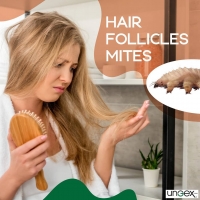 Hair Follicles Mites