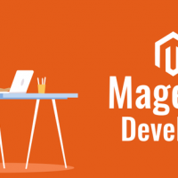 Improve the Look of your Online Store with the help of Magento Developers