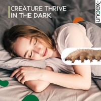 Creature that Thrive in the Dark