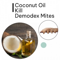 Coconut Oil Kill Demodex Mites PickP