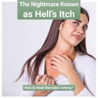 the nightmare is known as hell's itch PickP
