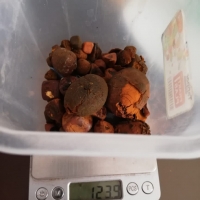 Buy Cow /Ox Gallstone Available On Stock Now @ (WhatsApp: +237673528224)